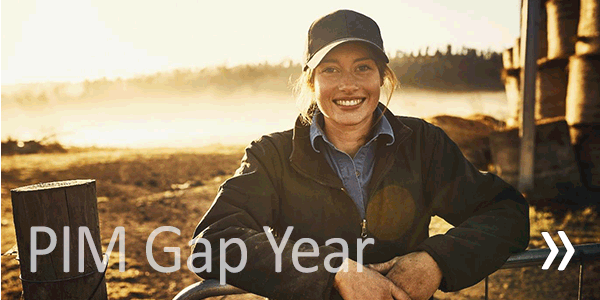 View PIM Gap Year Programme details